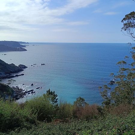 La Huerta Del Mingacho Διαμέρισμα Muros de Nalón Εξωτερικό φωτογραφία